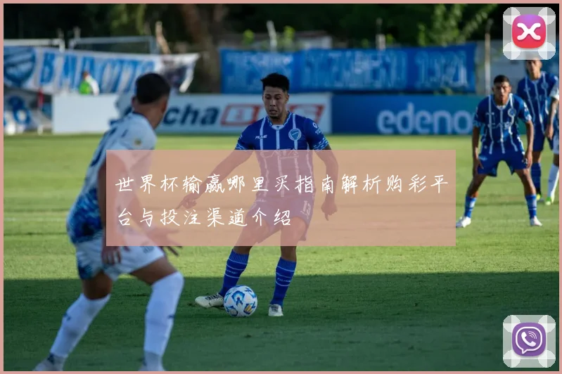 世界杯输赢哪里买指南解析购彩平台与投注渠道介绍
